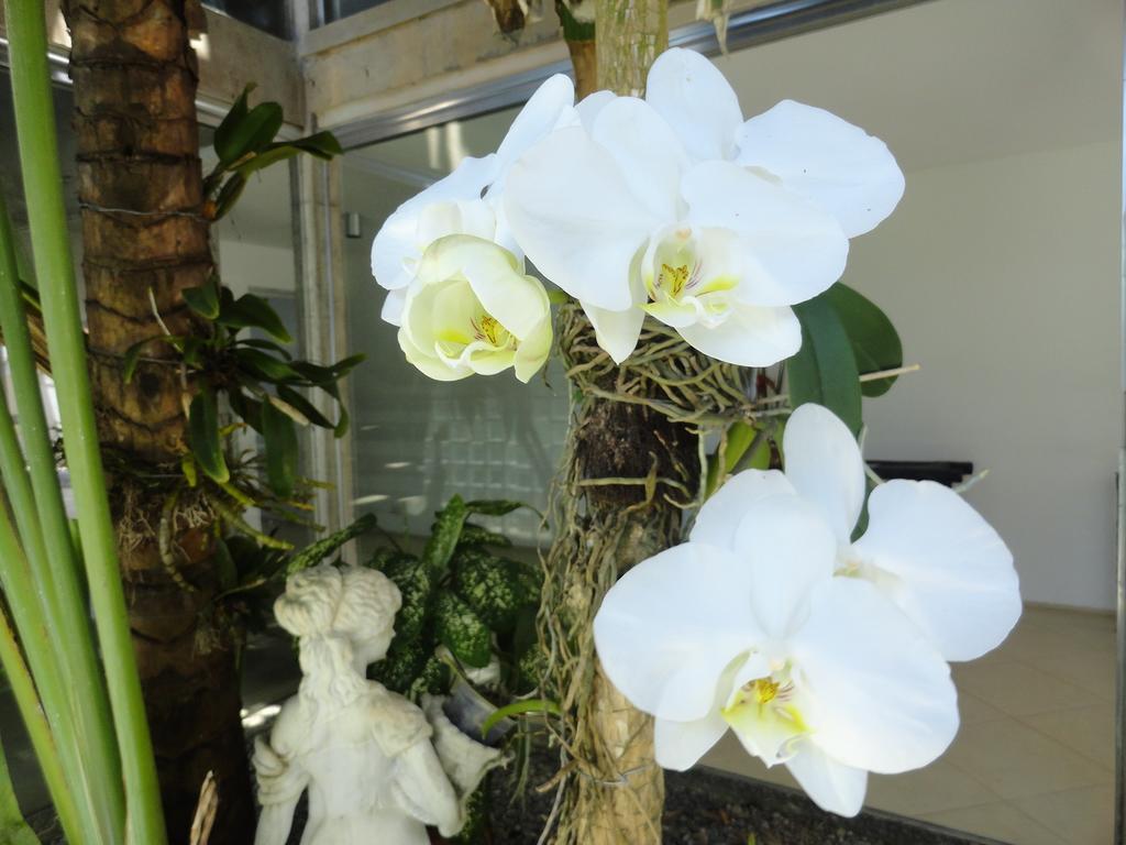 Pousada Orquideas Guaruja Ngoại thất bức ảnh